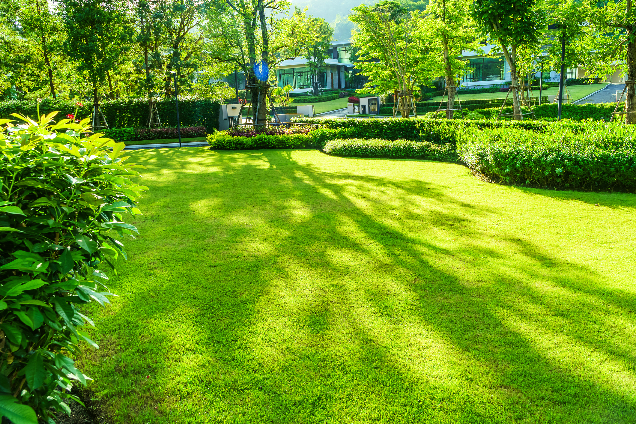 Lawn Aeration by Chips Clips Lawncare MN